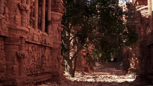 A Narrow Alley with a Tree in the Middle of It