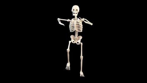 Dancing Human Skeleton 3D Animation