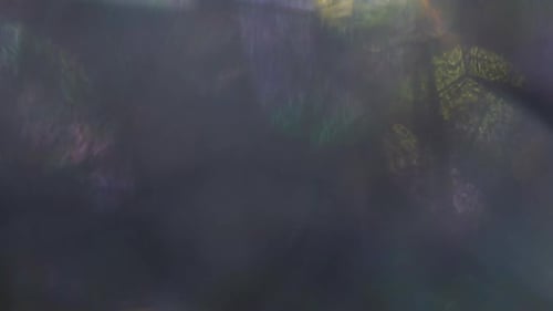 Abstract Background with Iridescent Light Leaks