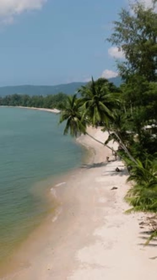 Secluded Beach with Turquoise Waters and Palm Trees Lipa Noi Beach Ko Samui Thailand