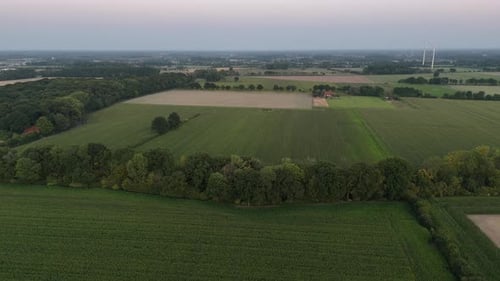 Rural agricultural farm fields at sunset with modern wind farms in distance. Aerial wide shot.