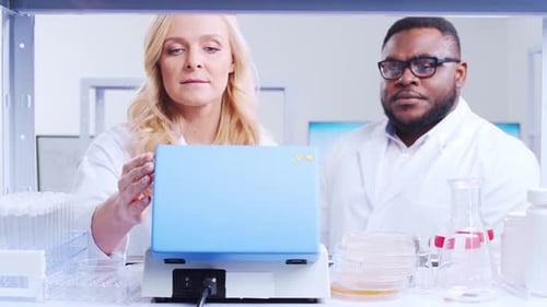 Scientists Conduct Research in a Modern Laboratory