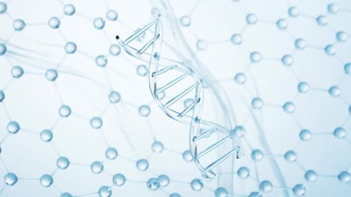 DNA mit Molekülstruktur-Hintergrund