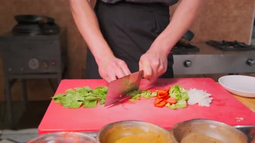 Chef Chopping Fresh Vegetables in Commercial Kitchen