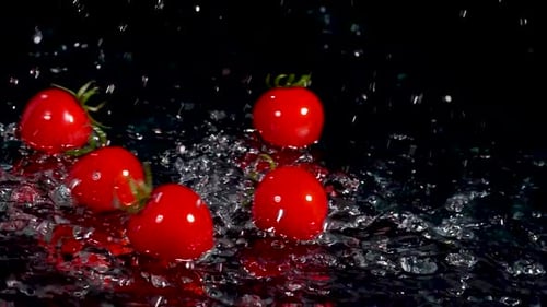 Tomatoes Falling Into The Water With a Splash and Bubbles on Black Background