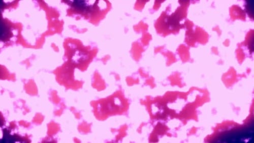 Abstract Fluid Motion Background with Morphing Pink Shapes