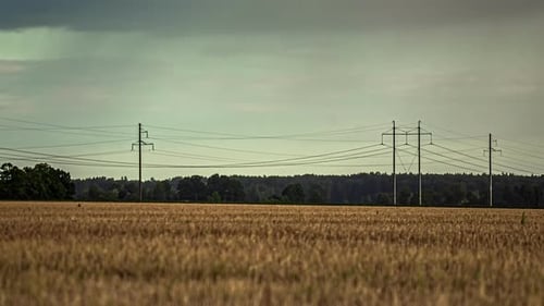 A breathtakingly beautiful shade of Golden Wheat as you delve into this sensational close-up time-la