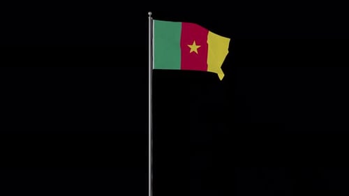Waving Cameroon Flag on Pole
