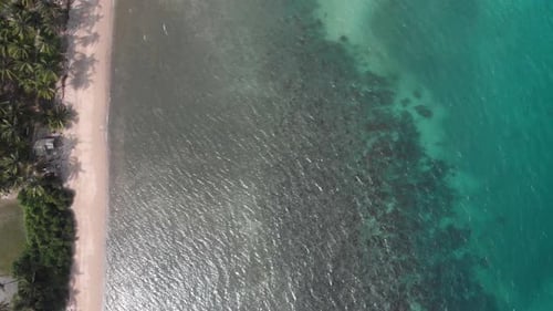 Aerial view of coastline with palm trees and white sand beach, Philippines