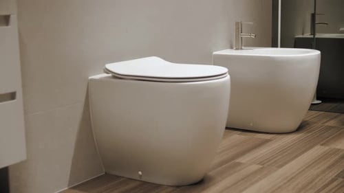 Modern Toilet and Bidet in Contemporary Bathroom