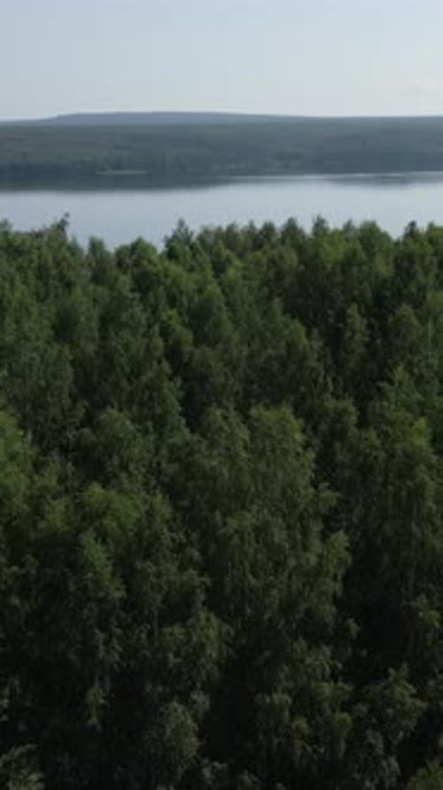 Uma paisagem serena com uma floresta exuberante ao lado de um lindo e tranquilo lago Clip