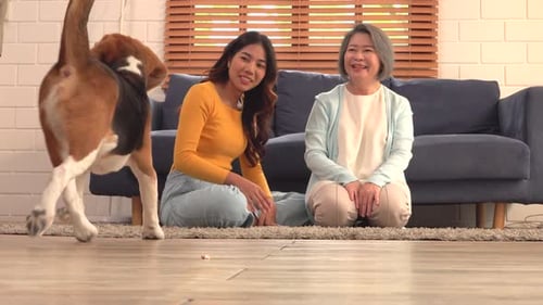 Women and Dog Play in Living Room
