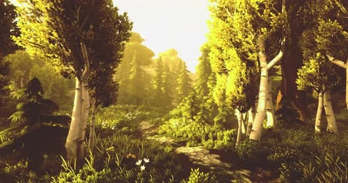 Glistening Sunlight Filters Through Vibrant Trees in an Enchanting Forest Trail