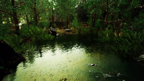 Forest Spring Landscape with Overgrown Pond