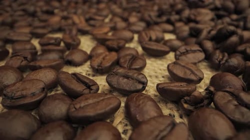 CloseUp View of Roasted Coffee Beans on a Burlap Surface