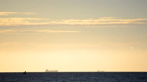 Ocean Scene at Sunrise with Ships and Birds