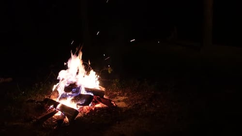 Cinematic video of bright bonfire flames at dusk in the evening