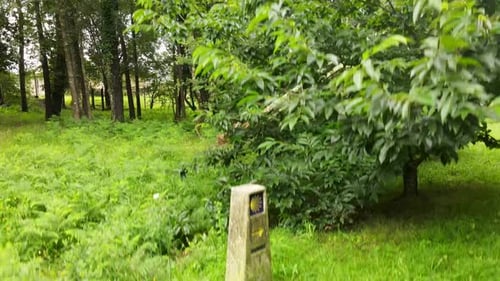 Milestone with scallop and yellow arrow sign mark for pilgrims to Santiago de Compostela. Drone view