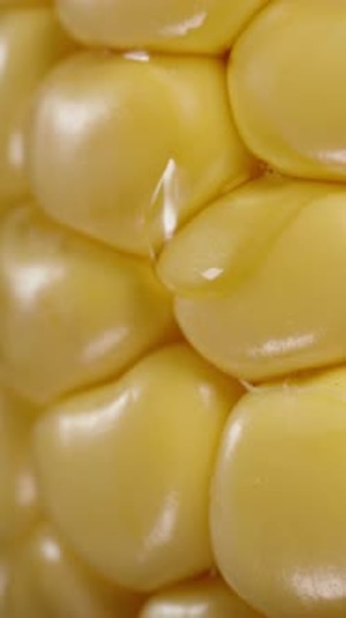 Vertical video. A corn cob on which a droplet of water or oil is slowly dripping, macro zoom.