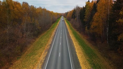 Scenic Autumn Road Surrounded By Colorful Trees in a Rural Area