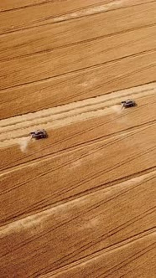 Aerial View of Agricultural Machinery Harvesting Golden Wheat Fields During Sunny Day