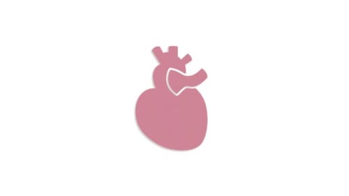 Animated Medical Heart Icon Showing Blood Vessels