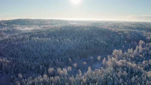 Flying High Above Epic Snow Covered Forest in Cold Winter Landscape