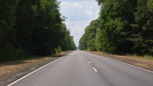 Driving Along an Empty Road Surrounded By Forest