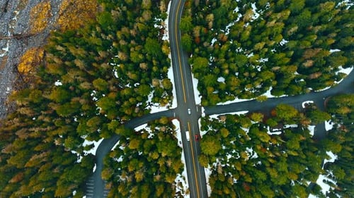 Two highways cross in the pine-tree wood. Few cars move by the roads in National Park Mount Rainer