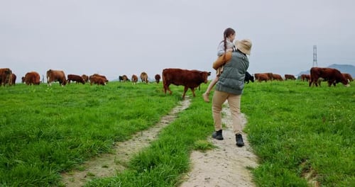Father and Daughter Walk Past Cows in Grassy Field