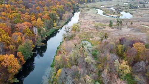 Autumn aerial above river with colorful trees
