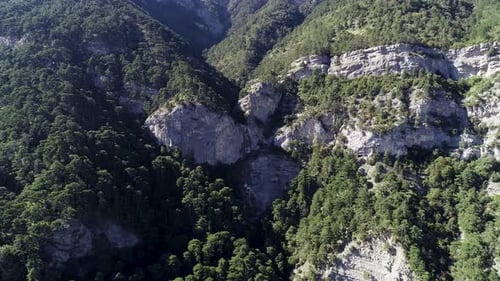 Majestic Mountain Peaks Covered in Lush Green Forests