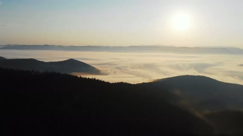 Aerial View. Flying over the pine forest In high mountains in beautiful clouds