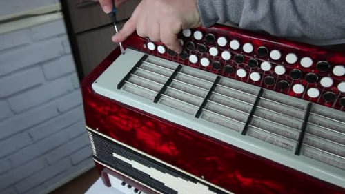 Repairing a Red Accordion with a Screwdriver