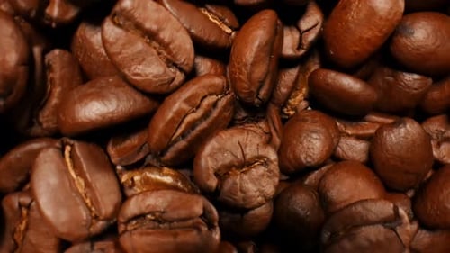 Coffee Beans Flying Into a White Bowl