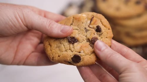 Tearing a warm chocolate chip cookie, gooey chocolate chips pulling apart with two hands close up sl