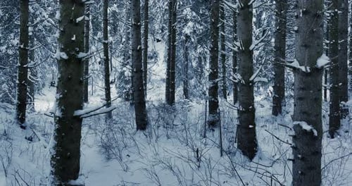 Erschöpfter Wanderer, der alleine todmüde auf Abenteuerreise in der Wildnis wandert