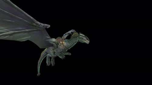 Dragon : 3D