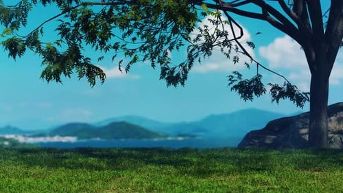 Green Grass Field In Summer Light 01 4K