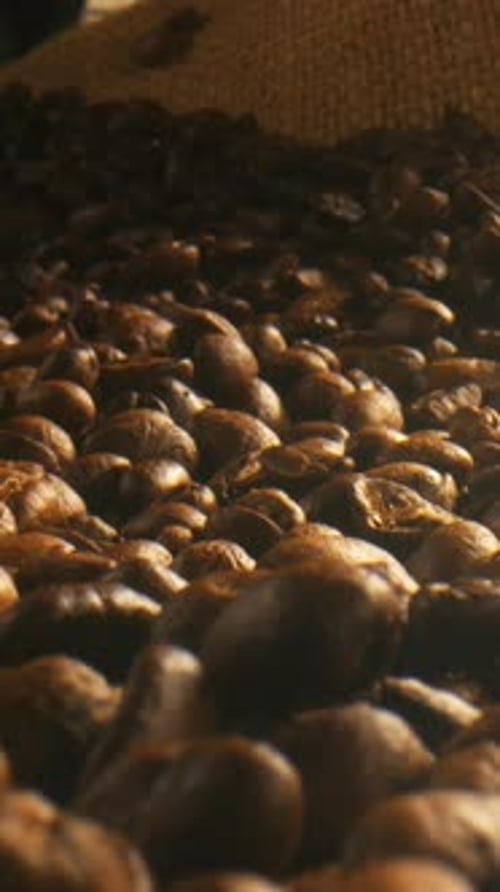 Pile of Rich Coffee Beans in a Burlap Sack