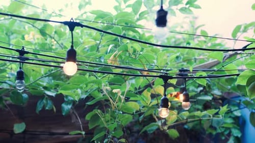 String Lights Hanging In The Garden. - closeup shot