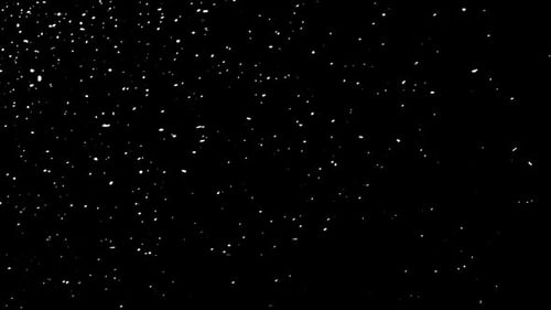 Winter Snow Falling Snow Animation Loop Slow Motion