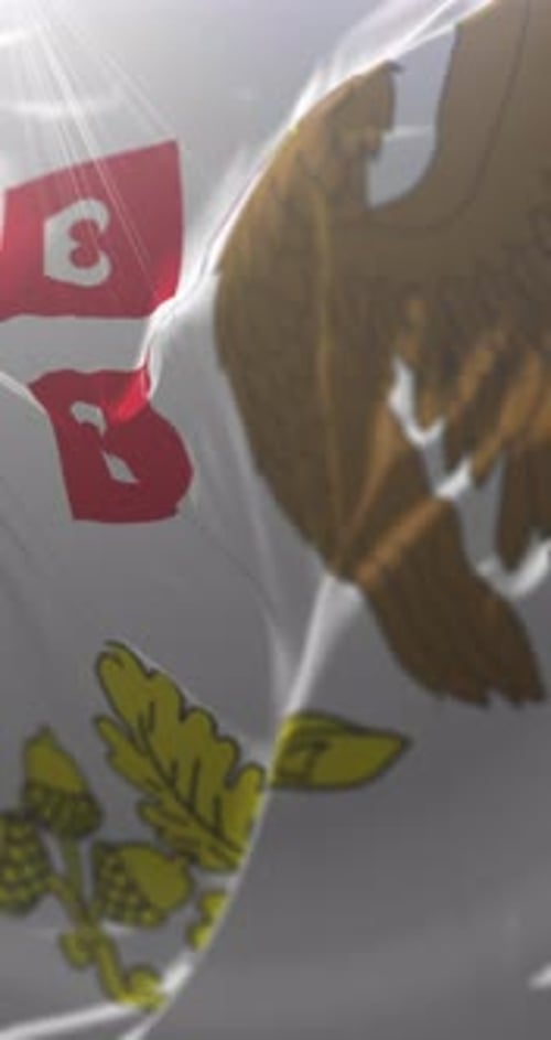 Realistic Animated Waving Flag with National Heraldic Symbols