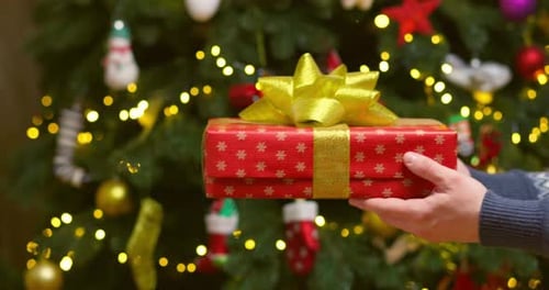 Hands Exchange Christmas Gift in Front of Tree