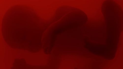 Infant Silhouette in Red Lighting