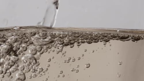 Stream Golden Champagne Bubbling in Transparent Wineglass Close Up. Alcohol Wine Drink