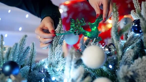 Woman Decorates Christmas Tree with Deer Ornament