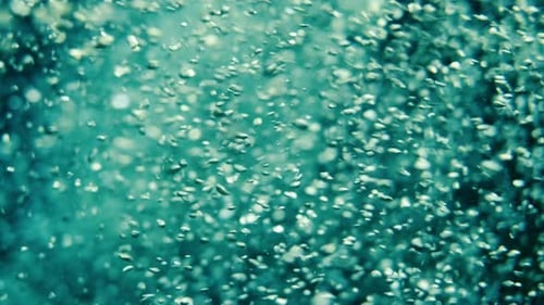 Slow motion of air bubbles floating from sea bottom to the water surface. Air bubbles in the blue wa
