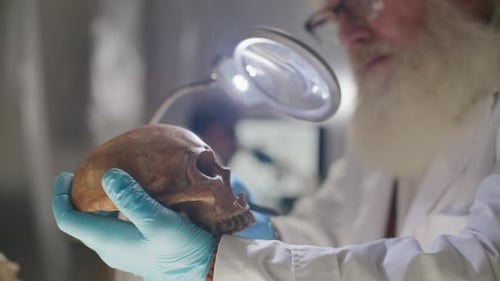 Senior Scientist Studying Skull and Writing Results of Archaeological Research