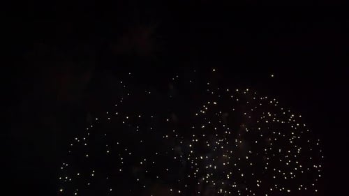 Brilliant Fireworks Exploding in the Dark Night Sky